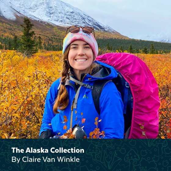 Injinji Artist Designed - The Alaska Range