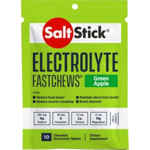 Salt Stick Fast Chews - Green Apple (10 pack)